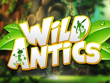 Wild ANTics thumbnail