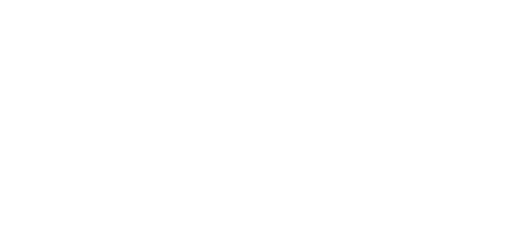 میگاپے logo